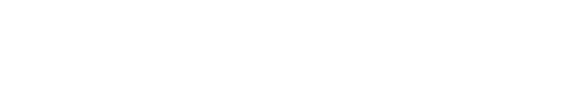 The Sneaker Shop Logo